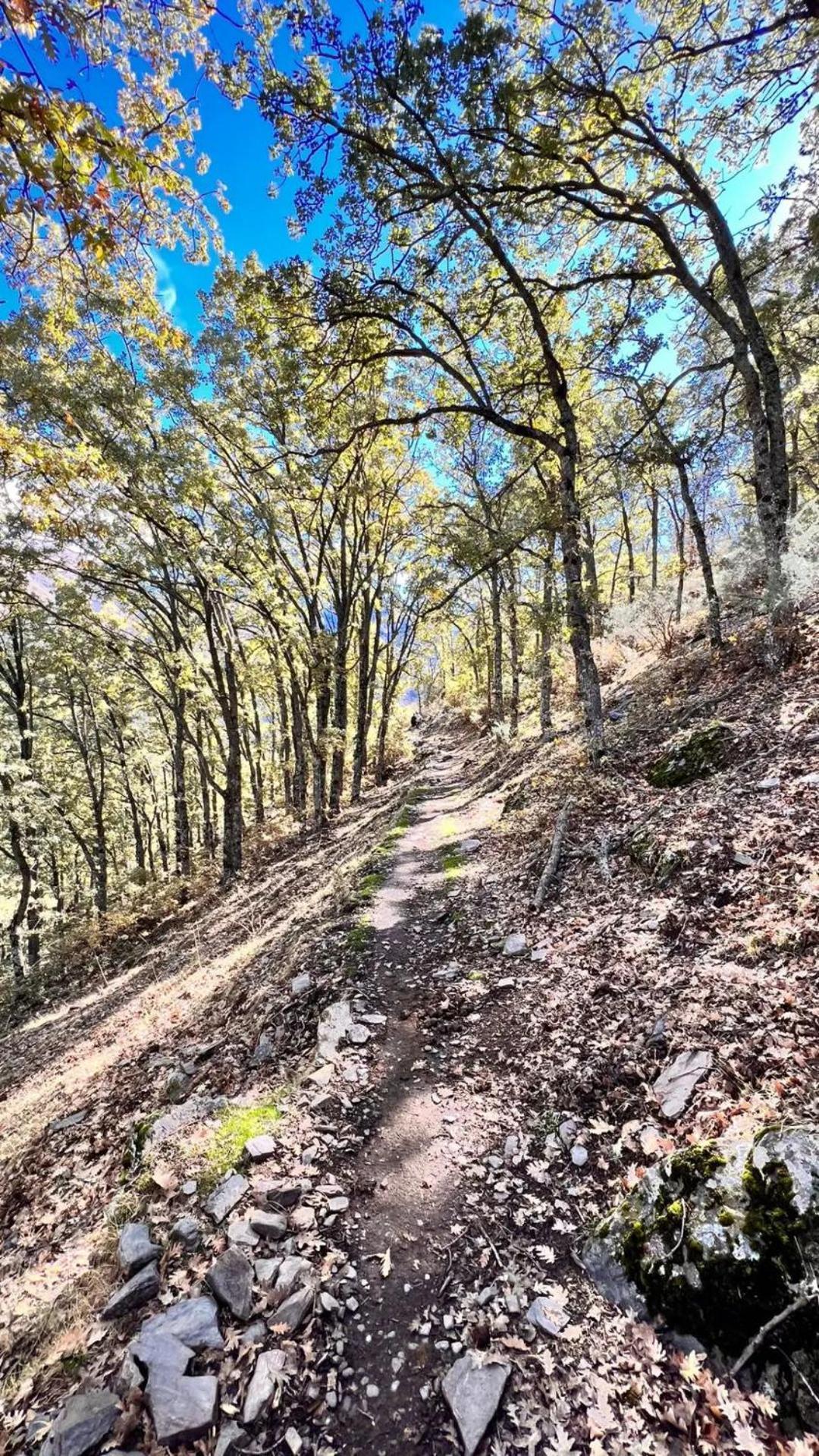Casa A La Vera De La Sierra Güéjar Sierra Exterior foto